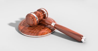 IHC Rules Protest Rights Can’t Overthrow Govt