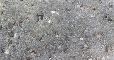John Wilson’s ‘History of Concrete’ Review