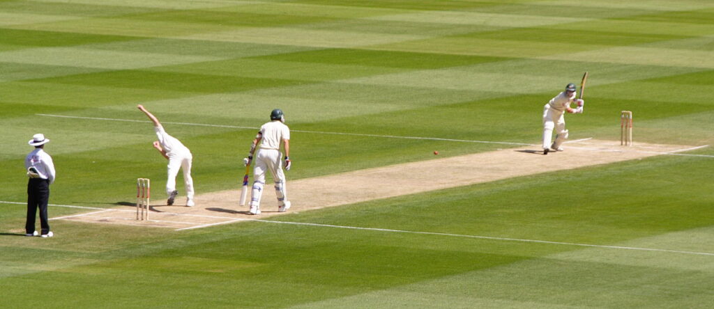 Photo via Wikipedia (Cricket)