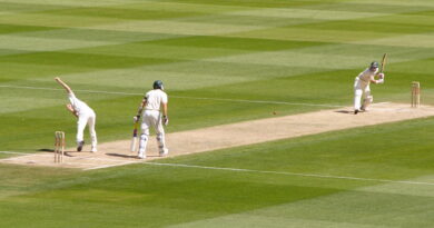 Photo via Wikipedia (Cricket)
