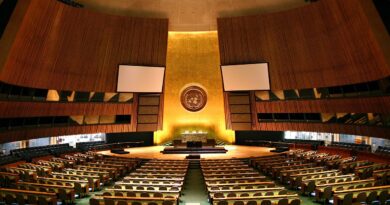 Photo via Wikipedia (United Nations General Assembly)