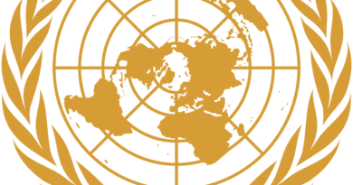 Photo via Wikipedia (United Nations Security Council)