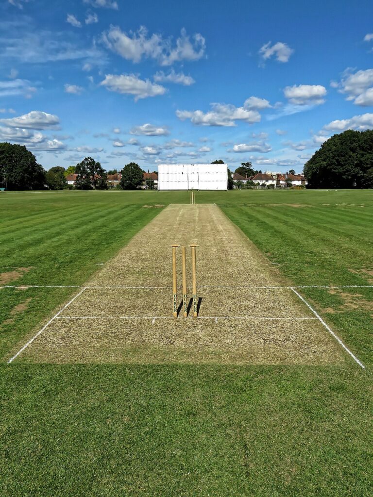 Photo via Wikipedia (Cricket pitch)